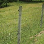 Breeding Facilities: Why High-Quality Fencing is Essential